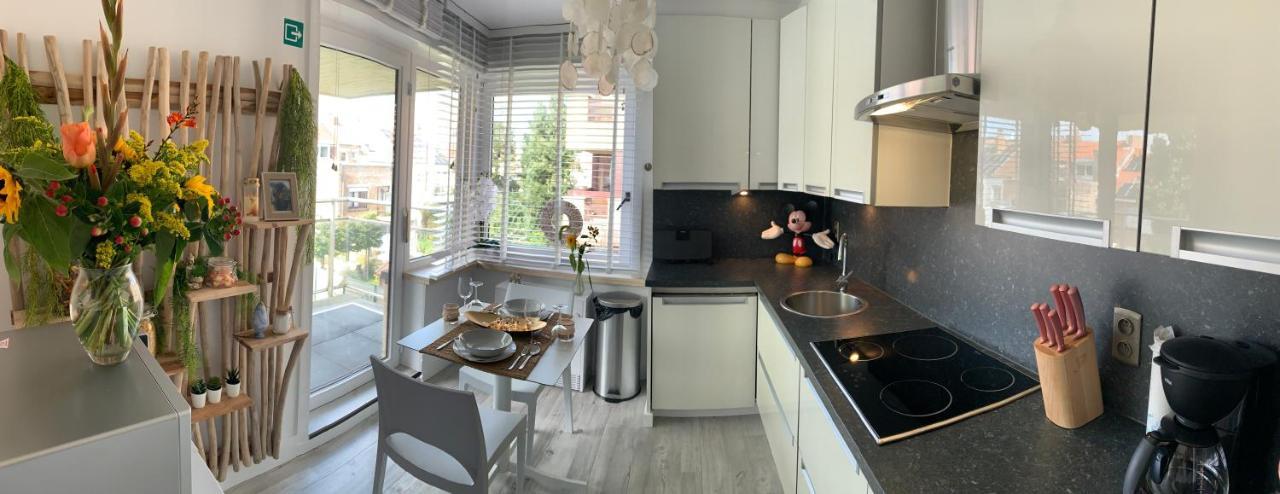 Top Appartement Met Garage "Au Franelle" オステンド エクステリア 写真